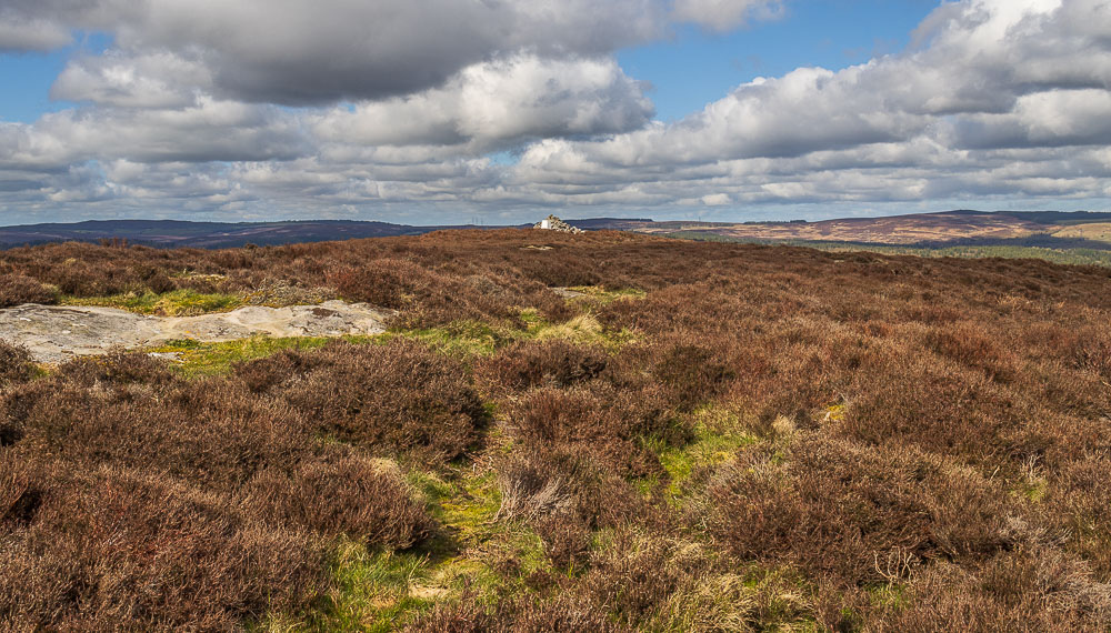 Garleigh Moor Garleigh Moor